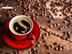 Come Si Usa Una Macchina Per Caff Espresso Primula